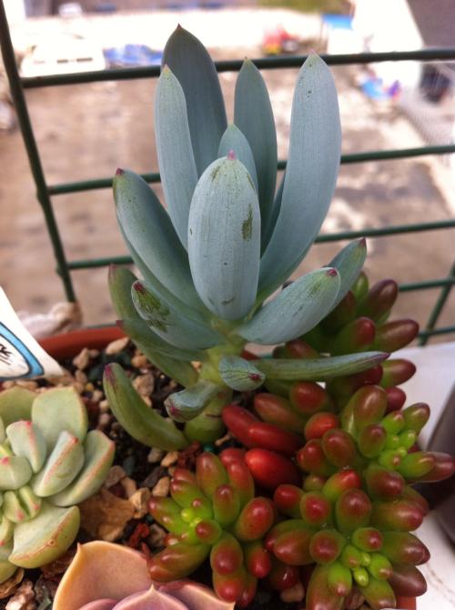 йõԣ⣺ԭɷݸٳɳ֮