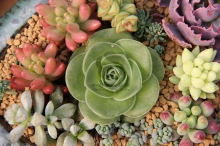 ƺӷⶳٶȼӿ쳤ȴﵽ631.3 ǧ׷